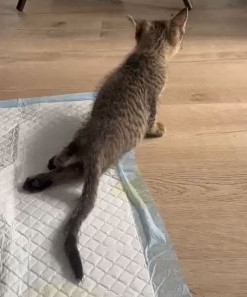    ,    .  ,    !  ... - 2