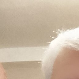 Фото Коля, Санкт-Петербург, 63 года Коля, Санкт-Петербург, 63 года