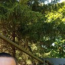 ���� ������, �����, 52 ���� - ��������� 13 ���� 2025 � ������ ���� ����������