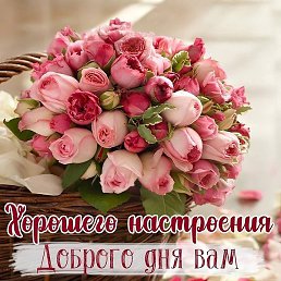 Lia M, �������, 55 ���