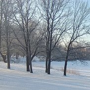 ����, 35 ���, �����-���������