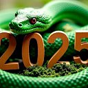  ,  -  31  2024    