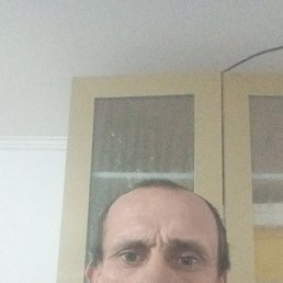 , 42, 