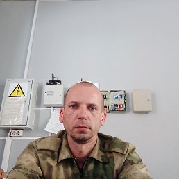 , 41, 