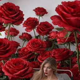 ���� ������, ��������, 27 ��� - ��������� 31 ����� 2026