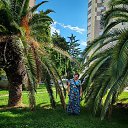 ���� ������, ��������, 61 ��� - ��������� 9 ������� 2025 � ������ ���� ����������