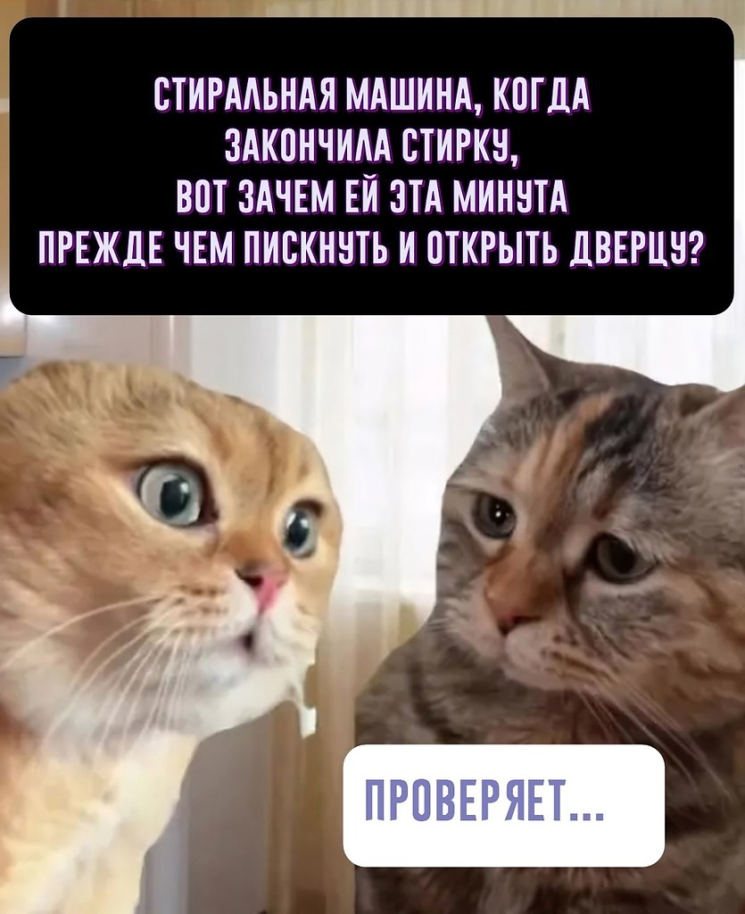  - 4  2025  12:00 - 2