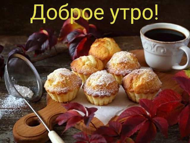   ,    . - 29  2024  21:46