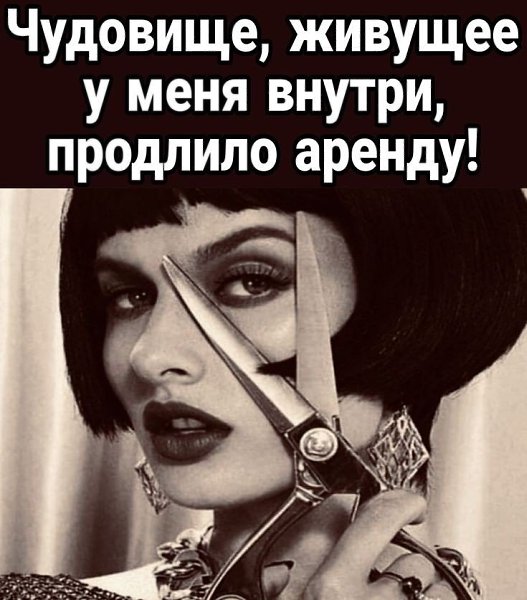 �������� ��������� - 8 ��� 2026 � 12:54