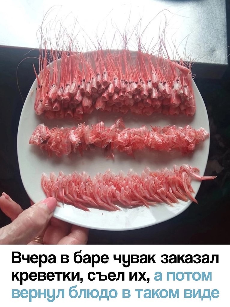  - 17  2025  12:06