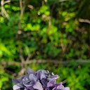 ���� ����, �����-��������� - ��������� 18 ������ 2025 � ������ ���� ����������