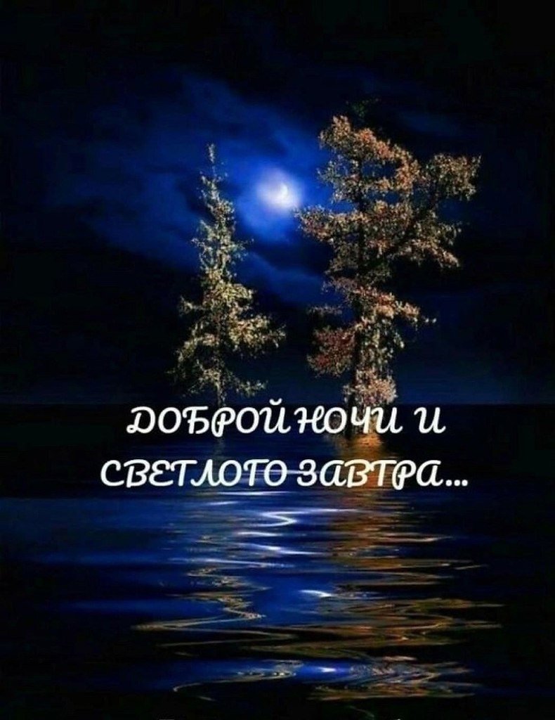   ,    . - 11  2024  21:09 - 4