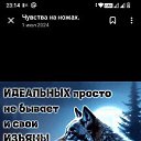 ���� ���������, ����, 48 ��� - ��������� 31 ������ 2026