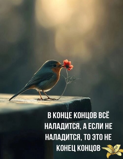   ! - 18  2025  15:44