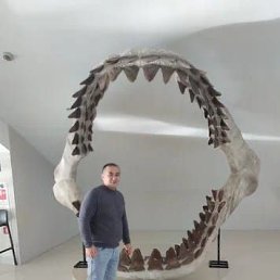 , 41, -