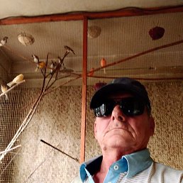 ���������, �������, 61 ���