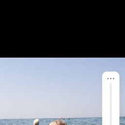 ���������, 55 ���, ����������