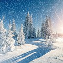 ���� �����, ����� - ��������� 30 ������� 2023 � ������ ������ ��������