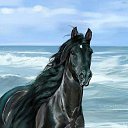 ���� ��������, �����, 47 ��� - ��������� 1 �������� 2025 � ������ ���� ����������