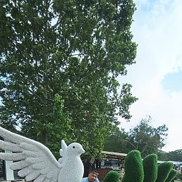 �����, ���������, 51 ���