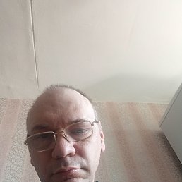 ����, 41 ���, ������