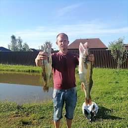 ��������, �������, 47 ���