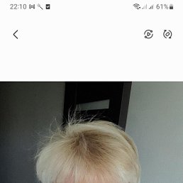 , 65, 