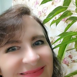 �����, ���������, 66 ���