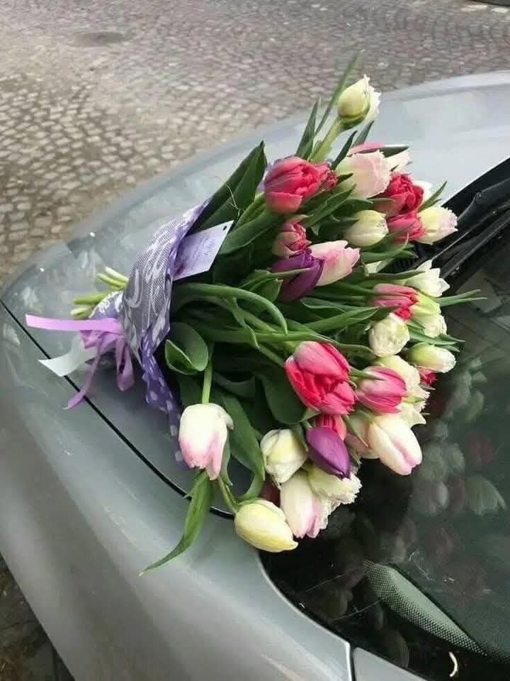 ������� - 23 ����� 2025 � 18:39