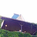 ���� �����, ������ - ��������� 10 ������ 2026 � ������ ���� ����������