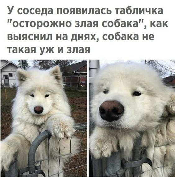     !