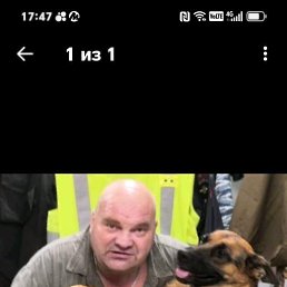 ������ �������, 39 ���, ����