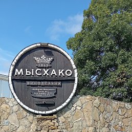 ��������, 39 ���, ������