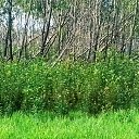 ���� ����, �����, 44 ���� - ��������� 27 ������� 2023 � ������ ���� ����������