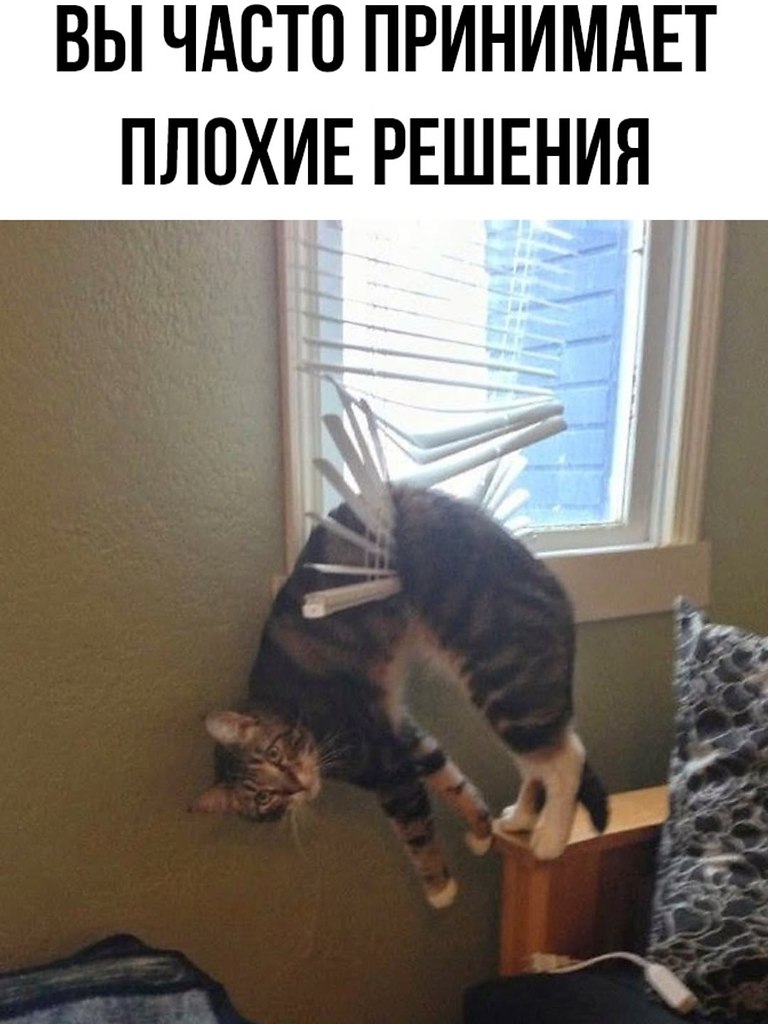  ... - 29  2025  08:14 - 7