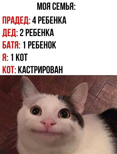  ,   ,  