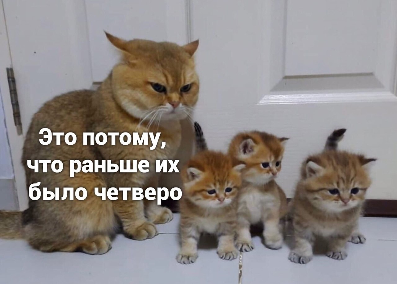   - 2