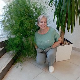 , 66, 
