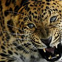 ���� ����, ����������, 55 ��� - ��������� 17 ������� 2024 � ������ ���� ����������