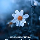 ���� ����, ����������, 73 ���� - ��������� 20 ����� 2024 � ������ ������ ��������
