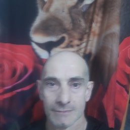, 53, 