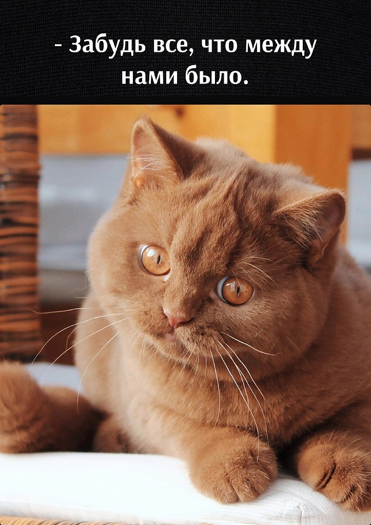       - 15  2025  22:10
