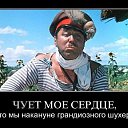 ���� ������ ����, ����, 65 ��� - ��������� 21 ��� 2025