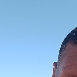 , , 42 