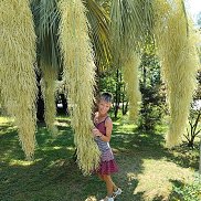 �������, 43 ����, ���������