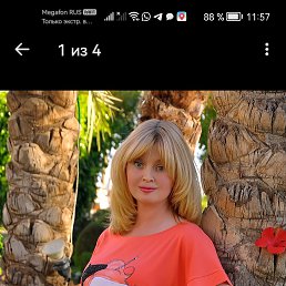 , 43, 