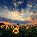 ���� ����, �����, 22 ���� - ��������� 18 ������� 2024 � ������ ���� ����������