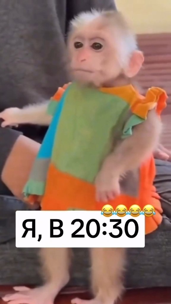   - 2