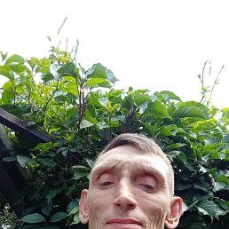 , 40, 