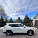���� �����, ������, 33 ���� - ��������� 24 ������� 2023 � ������ ���� ����������